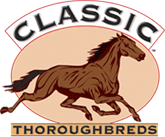 Classic Thoroughbreds